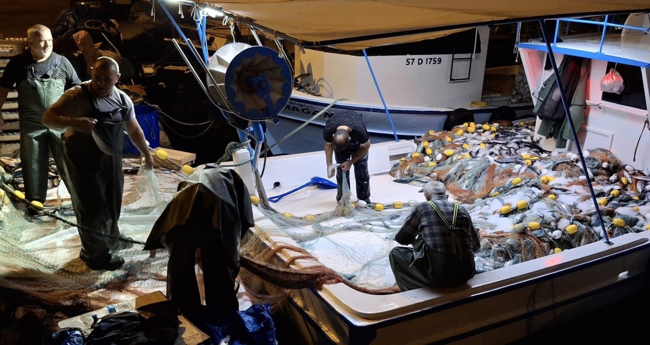 denize acilan balikcilar bir gecede milyoner oldu CGXYhemj