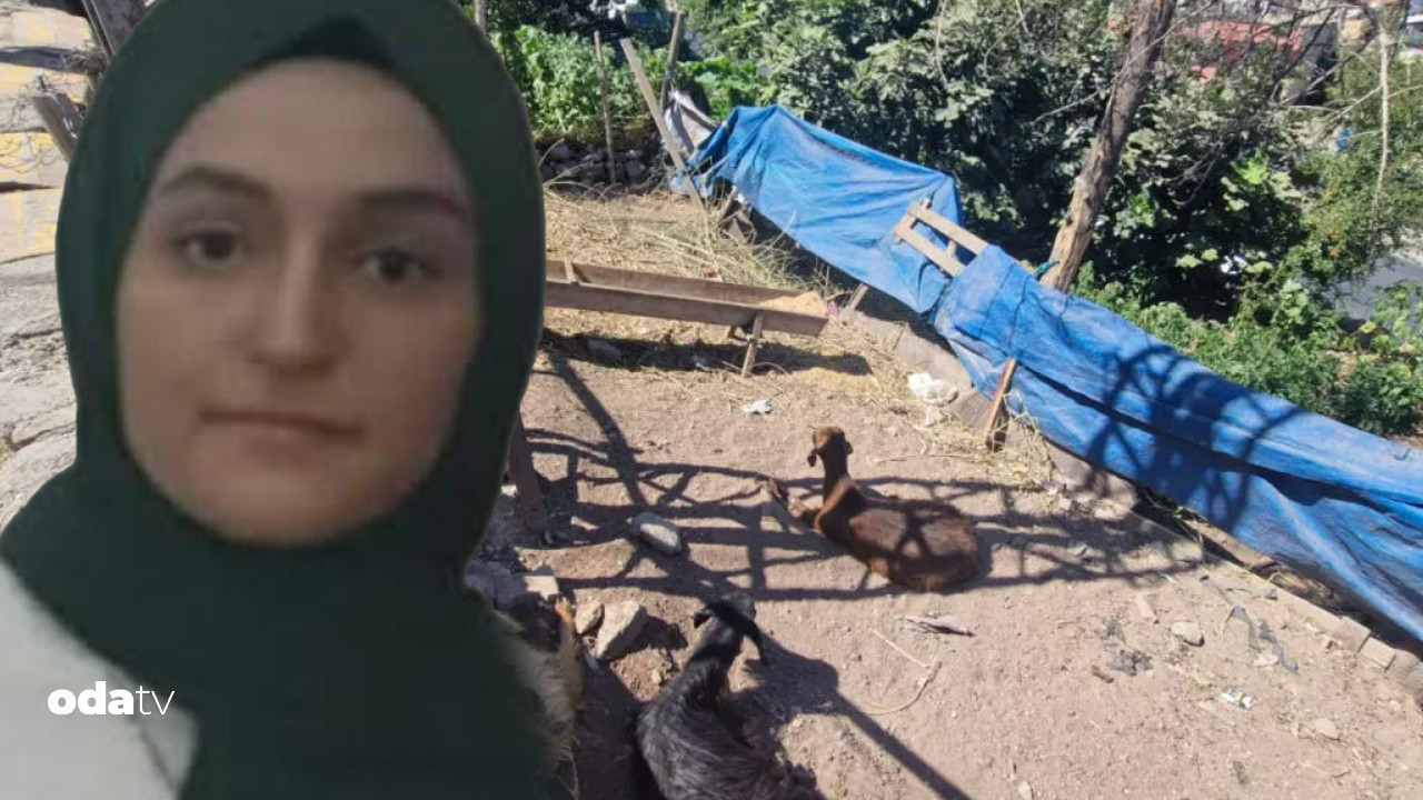 kahreden olay keciye dokundu hayatini kaybetti QBjVGQ2S