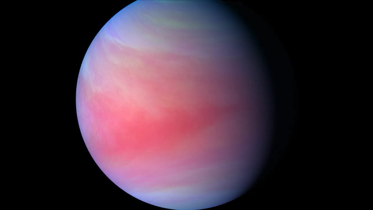 venusun tek sakini akatsuki icin yolun sonu geldi ffUxxLT1