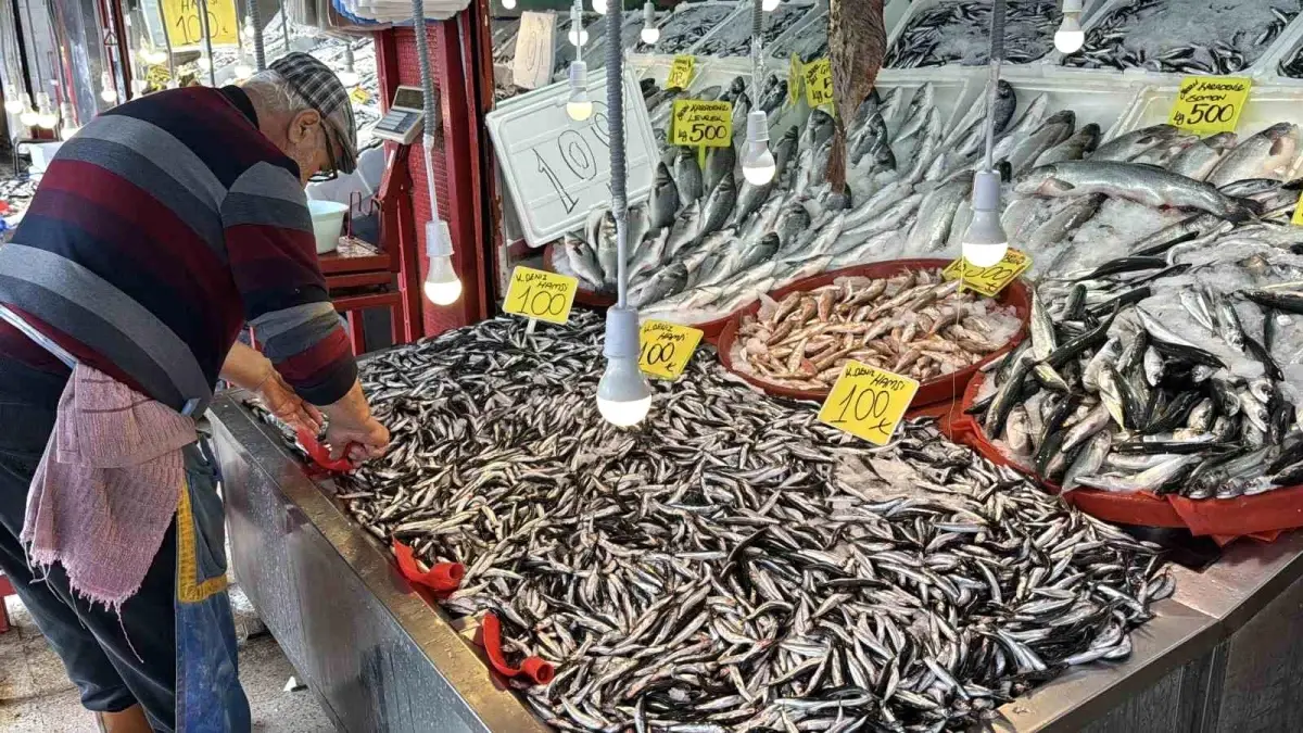 karabukte hamsi bereketi kilo 100 tl a5ZI43mk.jpg