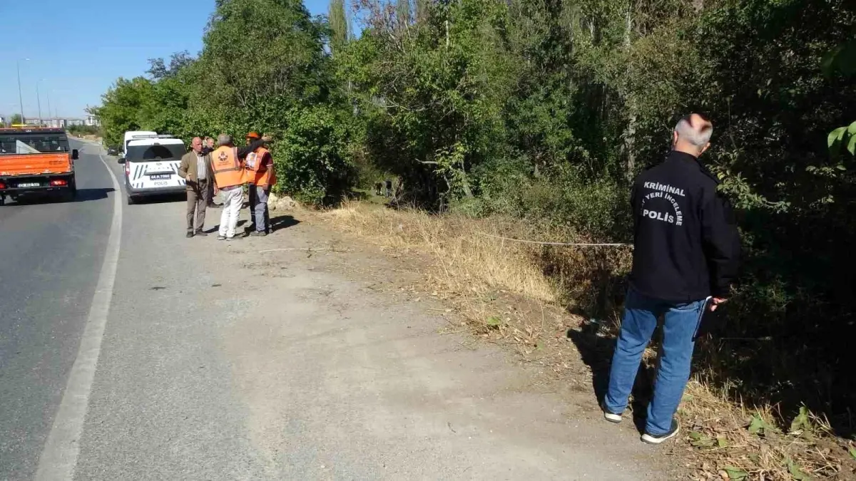 malatyada otomobil kayisi bahcesine uctu 1 yarali UhXrkPws.jpg