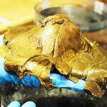 Okyanus Derinliklerinde Keşfedilen Altın Kürenin Sırrı Çözülüyor